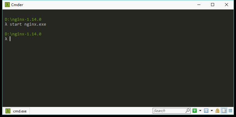 windows_nginx_start.jpg